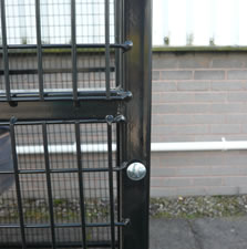 pic 1